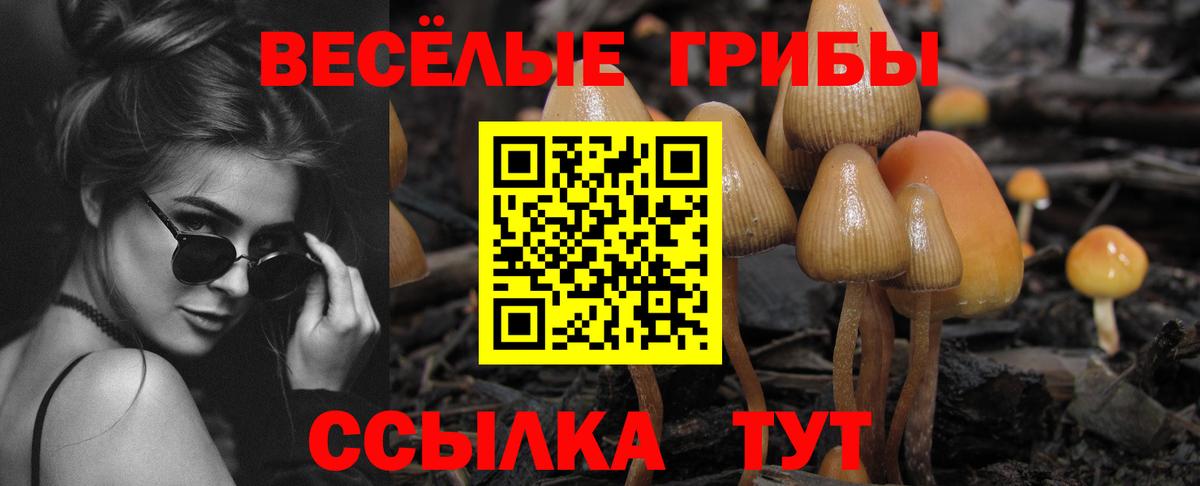 Галлюциногенные грибы мухоморы  Галлюциногенные грибы Magic Shrooms  Арсеньев  продажа наркотиков  Вход с VPN 
